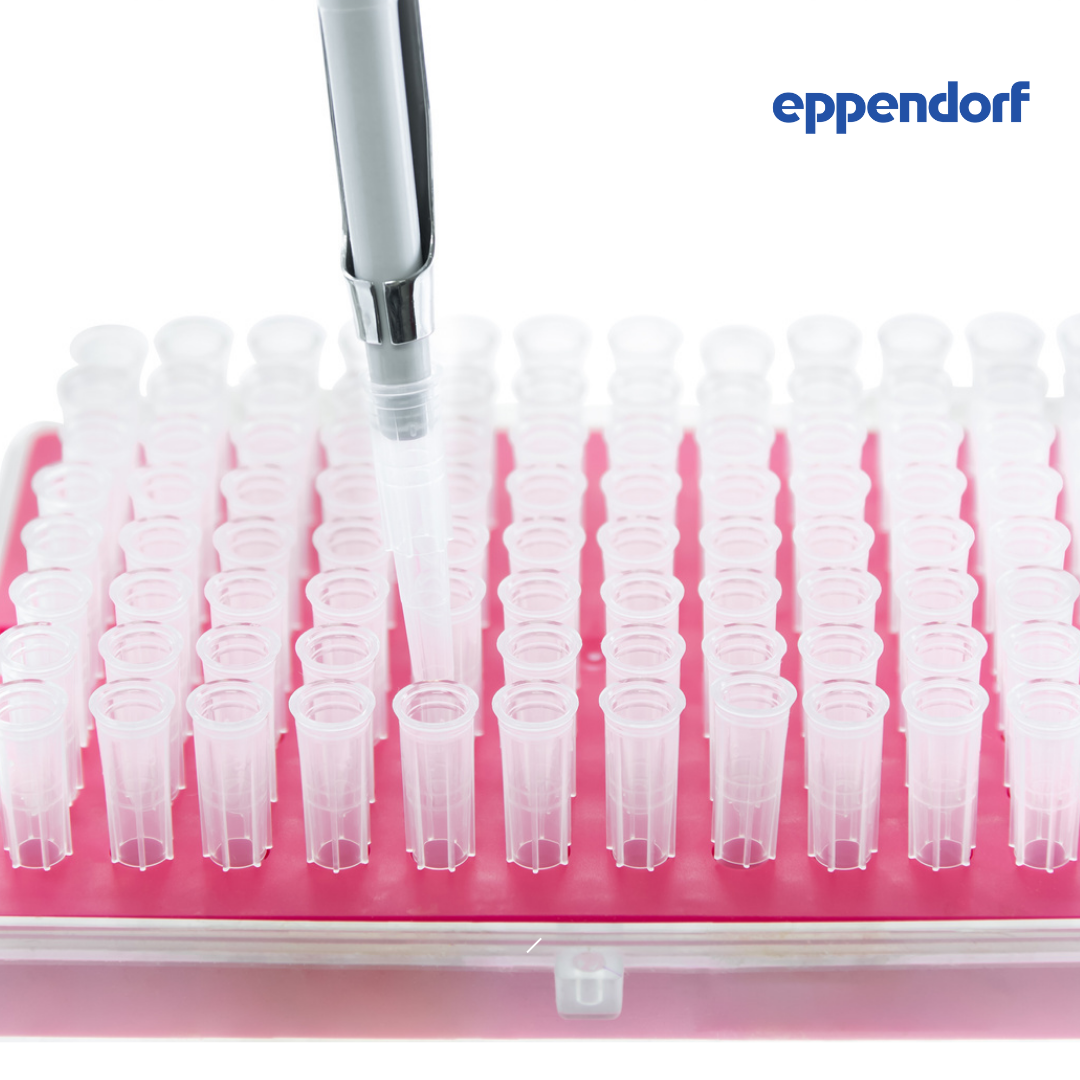 EP DUALFILTER G 2 – 100UL PCR